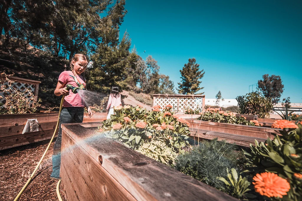 Child in school garden